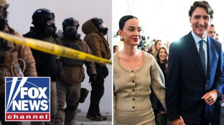 Katy Perry pushes ICE defunding as shutdown edges closer