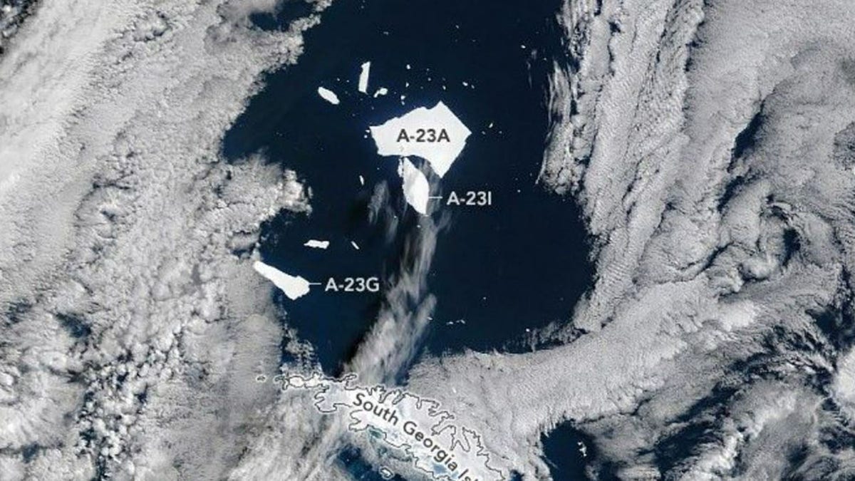 a23a in September north of South Georgia Island