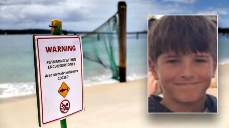 Boy, 12, dies following shark attack at popular cliff-jumping spot: ‘We are heartbroken’