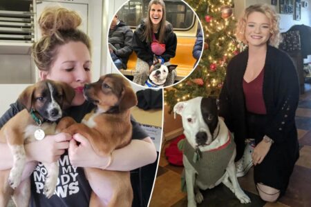 Exclusive | Fed up with apps, small talk and ‘rules,’ these women would rather date dogs than men