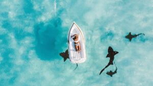 Why travellers aren’t as ‘loyal’ as they used to be