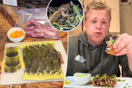Daring cook makes frozen iguana tacos after falling from trees in Florida — to the horror of online viewers: ‘21 souls in one meal is crazy’