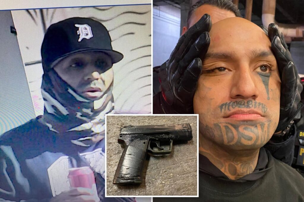 Exclusive | Anti-ICE protester accused of pulling fake gun on DHS agents is latest in 100-plus arrests for attacking law enforcement