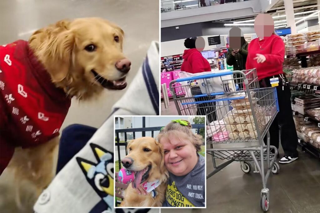 Walmart shopper allegedly followed by store workers over off-leash service dog