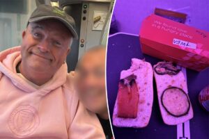 Furious passenger outraged by ‘moldy’ vegan sandwich on 0 flight: ‘Worst meal I have ever had’