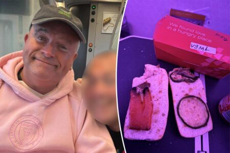 Furious passenger outraged by ‘moldy’ vegan sandwich on 0 flight: ‘Worst meal I have ever had’