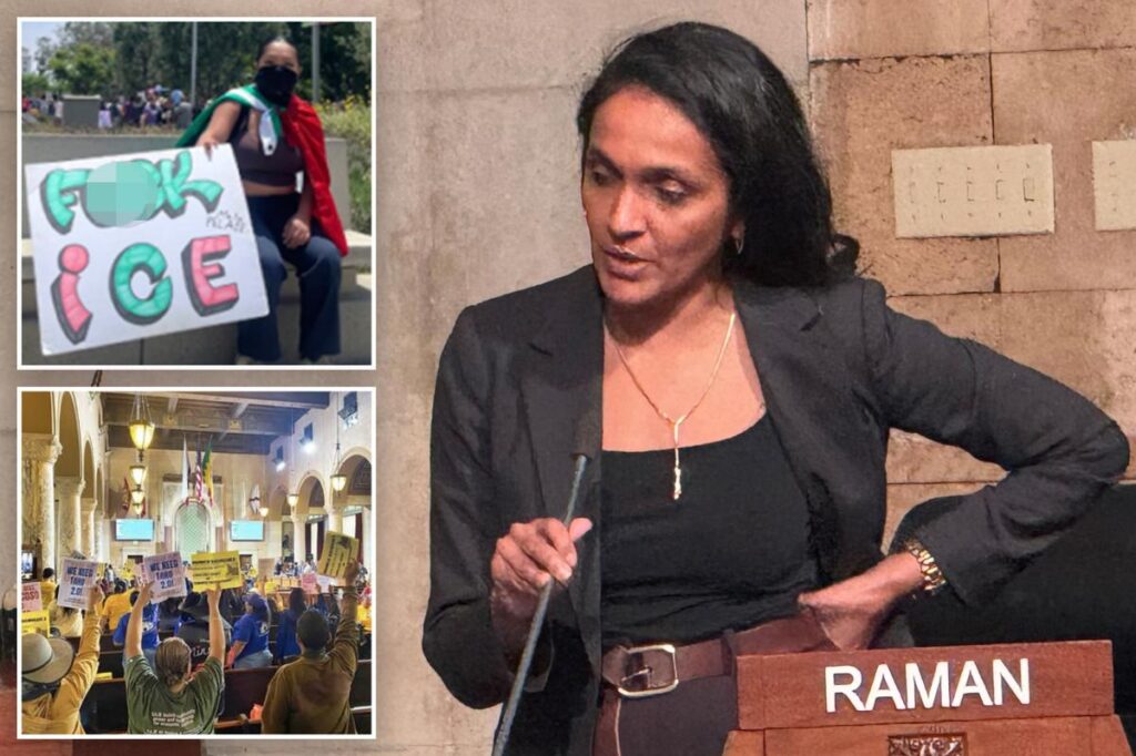 LA mayoral hopeful Nithya Raman to greenlight .6M contract for anti-cop, anti-olympics group SAJE