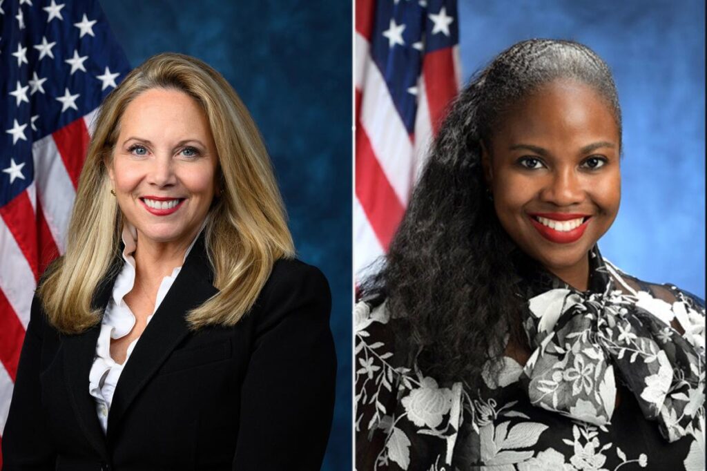 Long Island Rep Laura Gillen faces uphill battle in primary after voting for ICE funding Long Island Rep Laura Gillen faces uphill battle in primary after voting for ICE funding