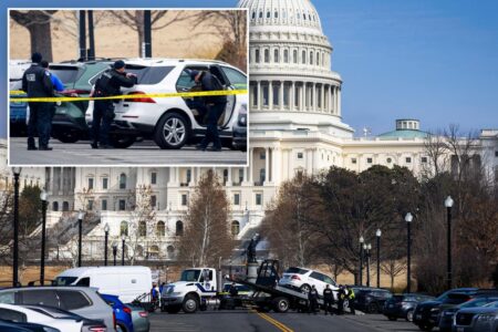 Police arrest Georgia man, 18, who charged US Capitol building wearing tactical vest, holding loaded shotgun