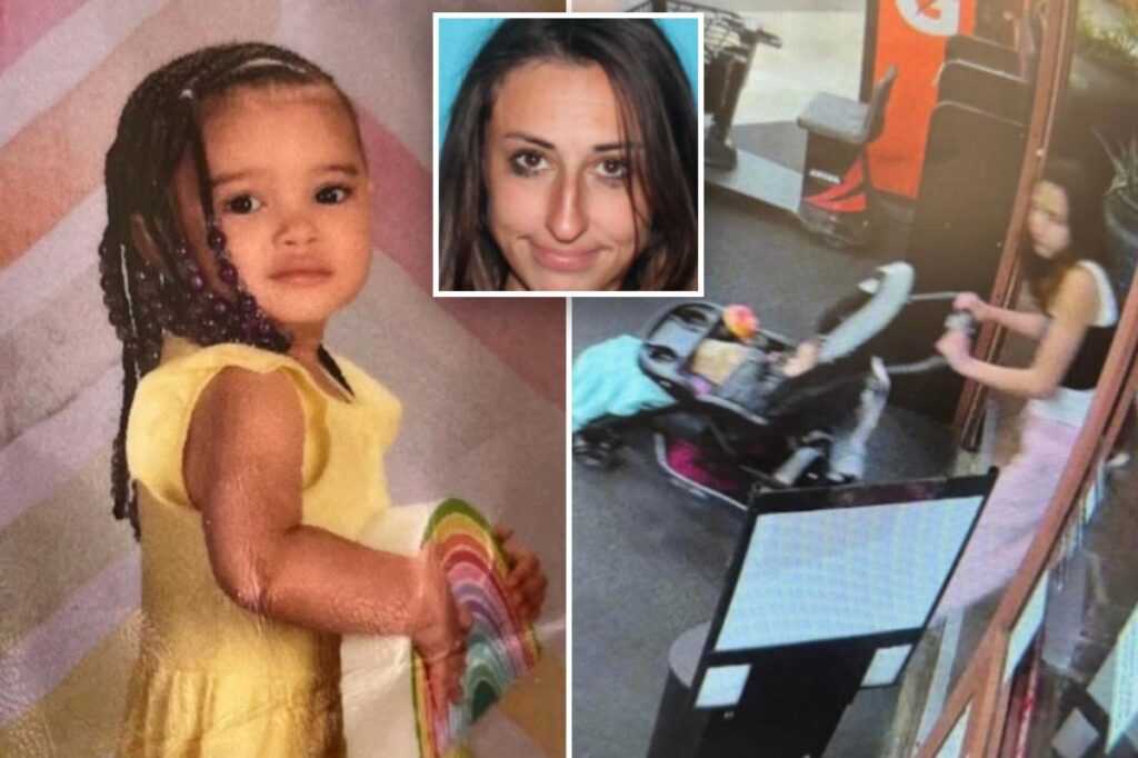Toddler kidnapped by ‘random woman’ whom parents let stay in home because she ‘needed a place’