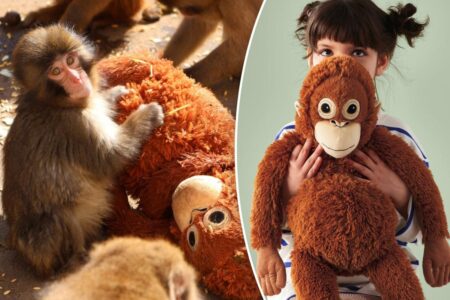 Adorable IKEA toy sells out after heartbreaking viral monkey moment — with eBay listings soaring as high as 0