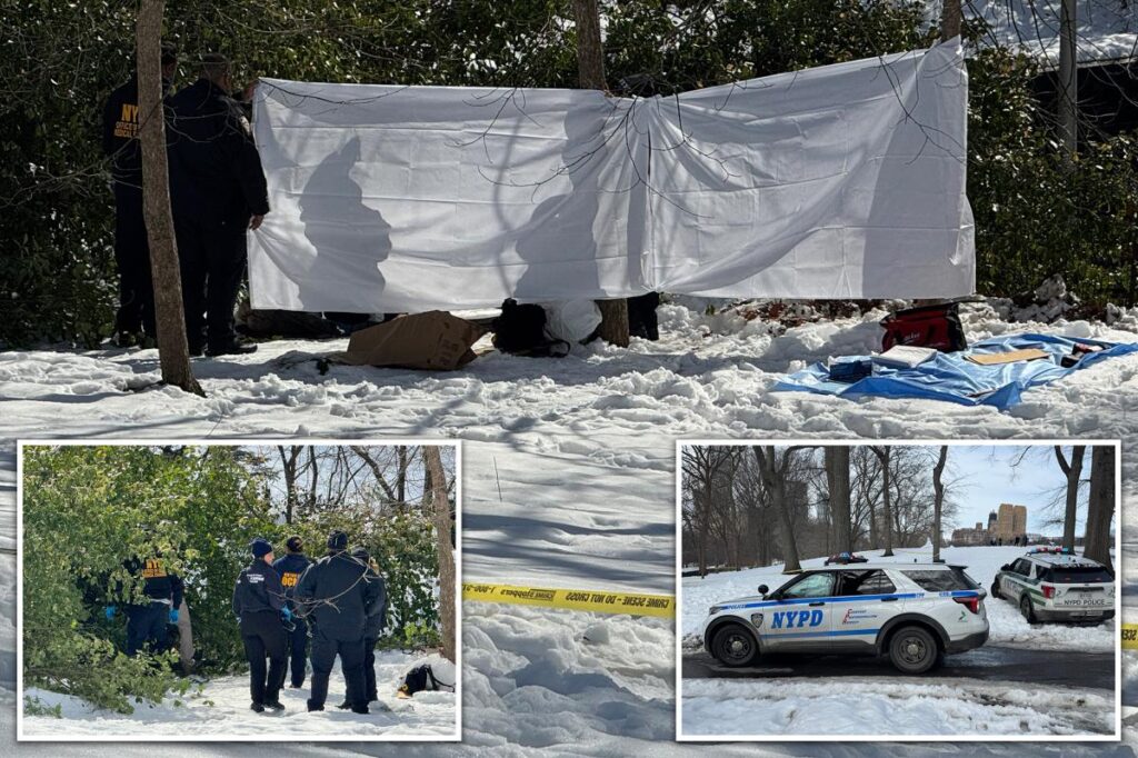 Homeless man, 58, found dead in snow pile near Central Park carousel