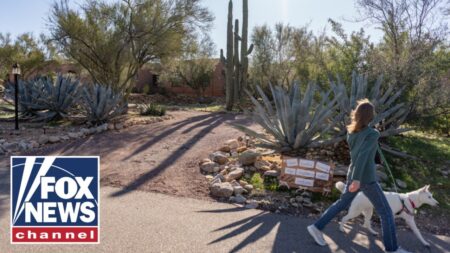 Harris Faulkner gives special insight into Nancy Guthrie’s neighborhood