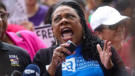 Fox News Campus Radicals Newsletter: Top teachers’ union under fire, anti-ICE agitator network exposed