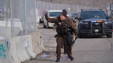 Anti-ICE agitators arrested at federal building in Minneapolis after lewd objects hurled at law enforcement