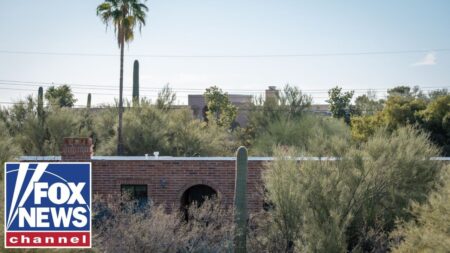 Investigators hunt for surveillance video in Nancy Guthrie disappearance