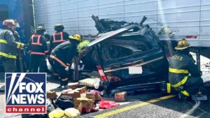 LIVE: Florida launches English-only driver’s license exams after triple-fatal 2025 crash