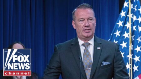 ICE sends STERN message to left-wing agitators