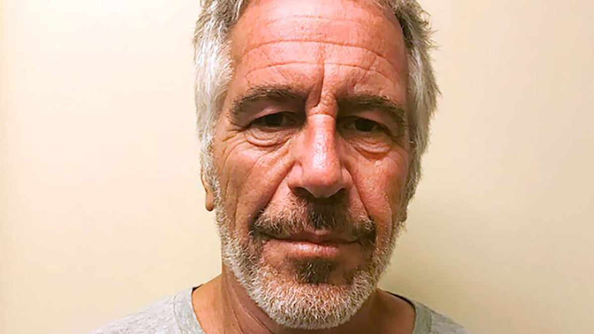 Jeffrey Epstein mugshot