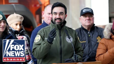 Mamdani MOCKED for making snow shovelers show ID, not voters Mamdani MOCKED for making snow shovelers show ID, not voters