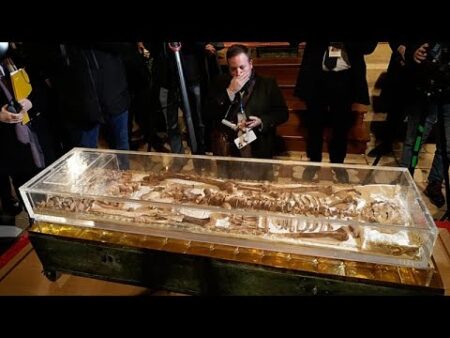 Sacred bones: Thousands of pilgrims flock to see historic remains of St Francis of Assisi Sacred bones: Thousands of pilgrims flock to see historic remains of St Francis of Assisi