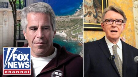 ‘This is a MASSIVE scandal!’: Reaction pours in over NEW arrest in Epstein probe ‘This is a MASSIVE scandal!’: Reaction pours in over NEW arrest in Epstein probe