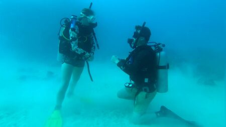 Diver drops to one knee 100 feet underwater in breathtaking Fiji shipwreck proposal Diver drops to one knee 100 feet underwater in breathtaking Fiji shipwreck proposal