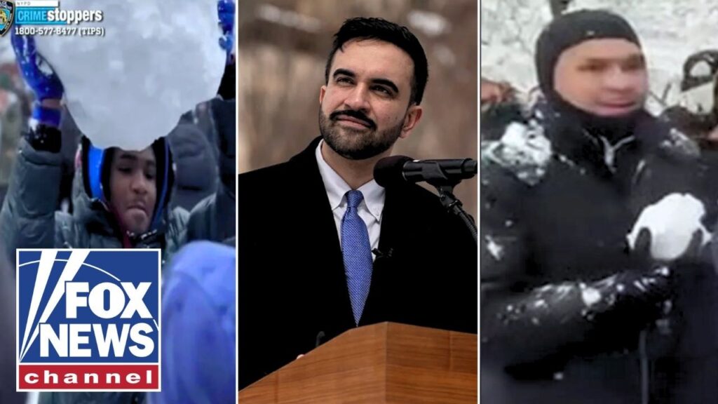 ‘ABSOLUTELY BLEW THIS’: Mamdani’s snowball defense melts