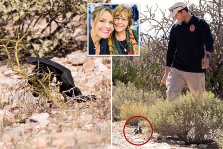 Exclusive | Mysterious black glove found near Nancy Guthrie’s home could hold crucial DNA evidence: former FBI agent