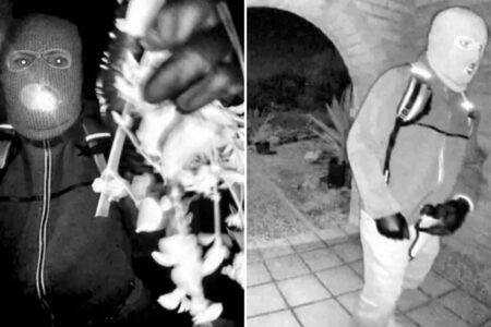 Key giveaways in Nancy Guthrie case that show suspected kidnapper is not ‘a trained assassin’: former FBI special agent