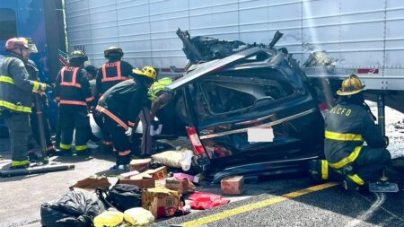 DOT crackdown pulls hundreds of English-illiterate, illegal immigrant truckers off roads as crashes mount