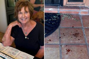 DNA splatter reveals Nancy Guthrie was bleeding from ‘either the hands or face,’ expert says