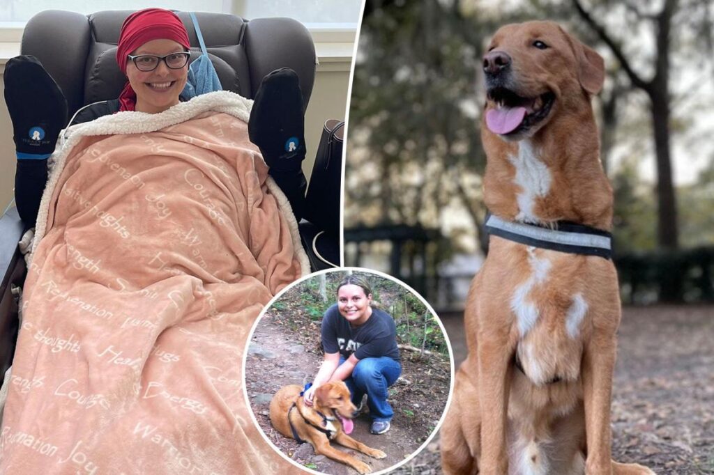 Pet owner says dog saved her life by detecting her breast cancer