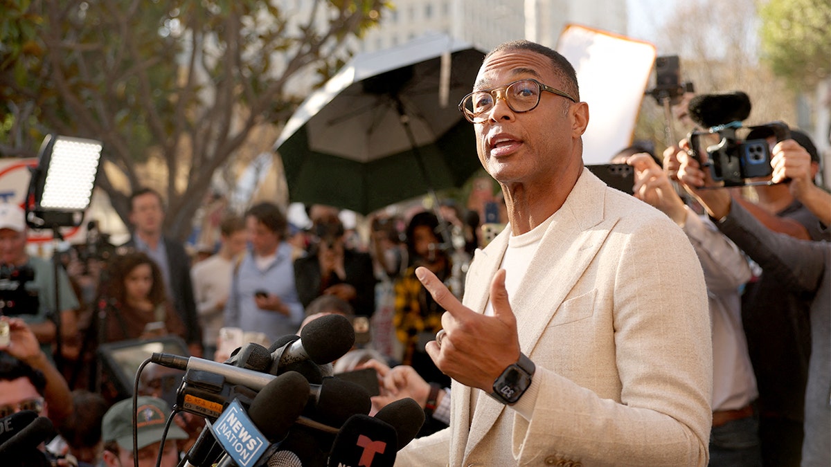 Don Lemon speaks outside LA courthouse