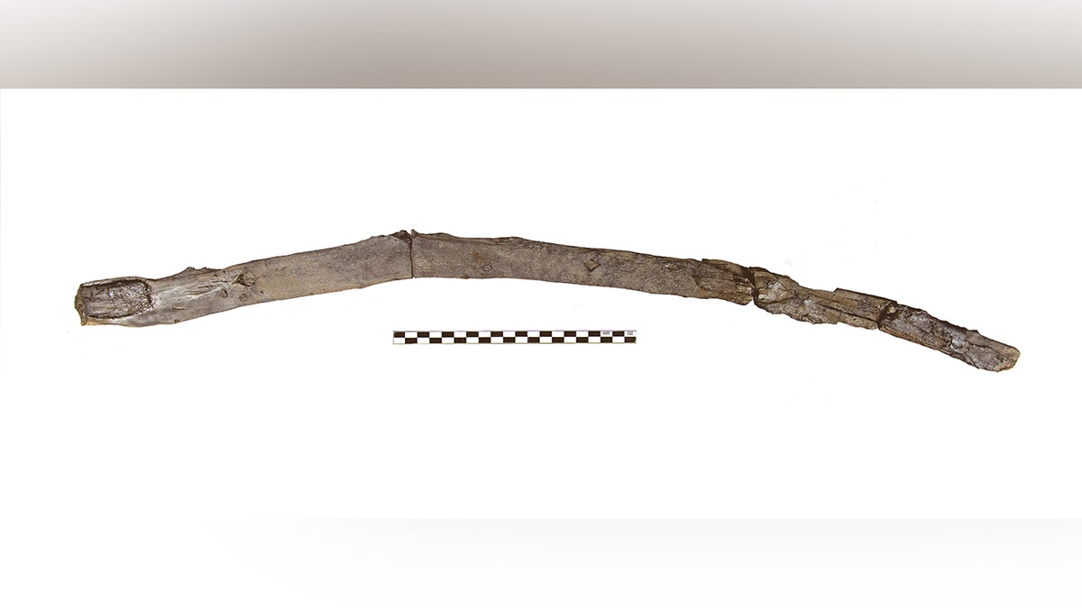 View of ancient wooden stick