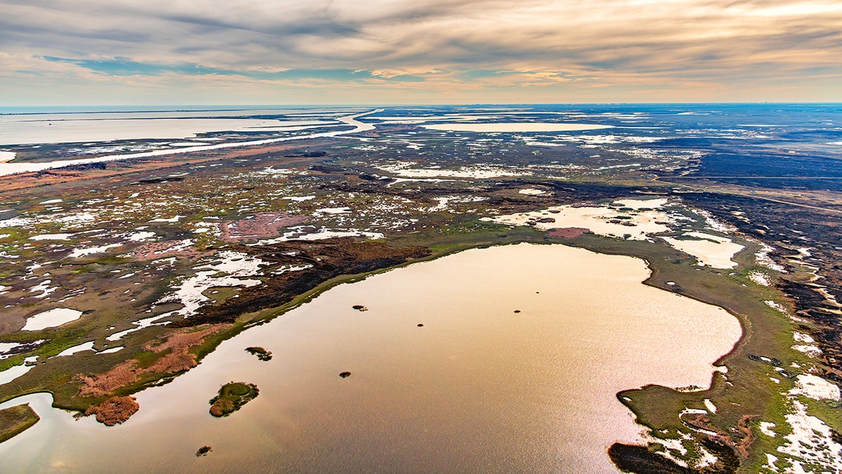 Aerial shot of the Brazoria National Wildlife Refuge, established in 1969, which is located along the Gulf coast of southeast Texas near Galveston shot via helicopter from an altitude of about 1000 feet.
