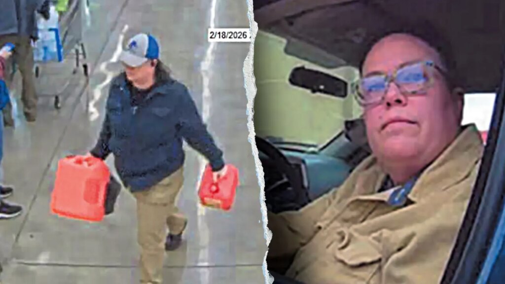 Idaho woman accused of attempting to set fire to DHS building with stolen ambulance