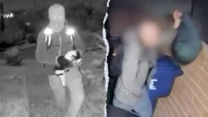 Former FBI agent urges caution as surveillance video of man in Guthrie area circulates web