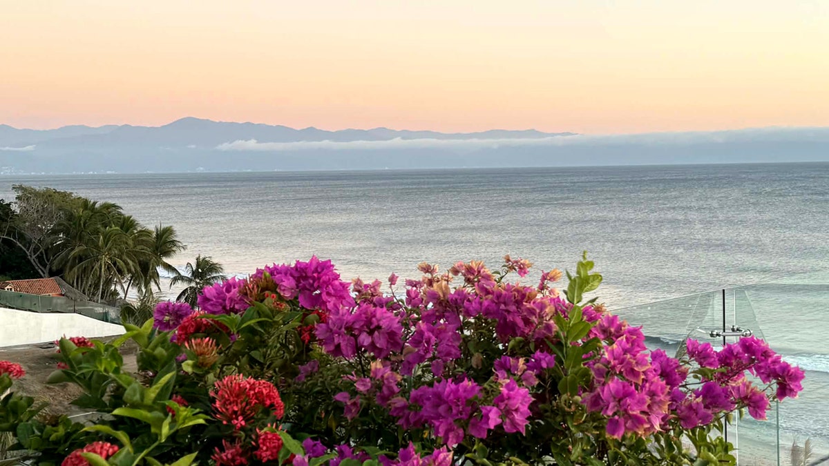 cartel free Puerto Mita luxury resort