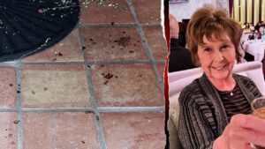 DNA splatter suggests Nancy Guthrie was bleeding from ‘either the hands or face,’ expert says