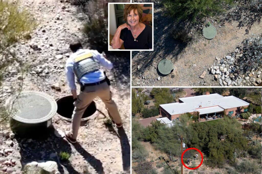 Intriguing reason why Nancy Guthrie investigators searched septic tank: ‘May have flushed something’