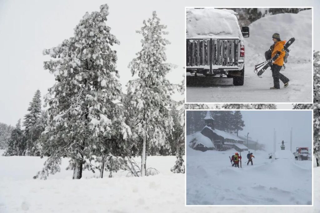 Tahoe avalanche victims allegedly took most dangerous escape route — cops launch criminal investigation