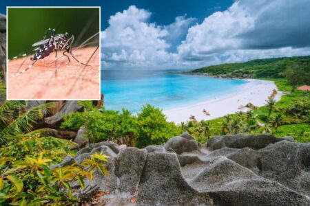 CDC issues urgent travel warning after chikungunya virus slams popular island destination
