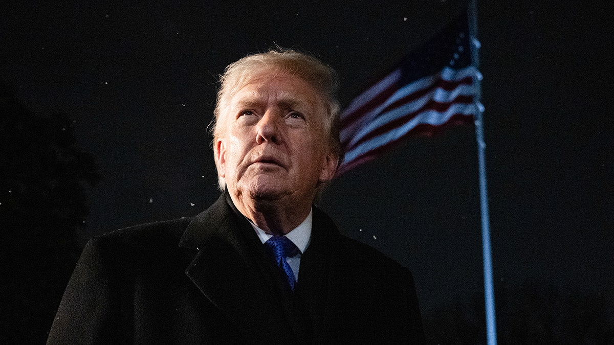 President Donald Trump