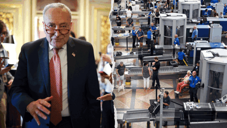 Democrats demanding ICE reforms lose airport escorts in shutdown they triggered Democrats demanding ICE reforms lose airport escorts in shutdown they triggered