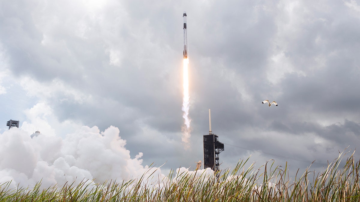 SpaceX rocket launch