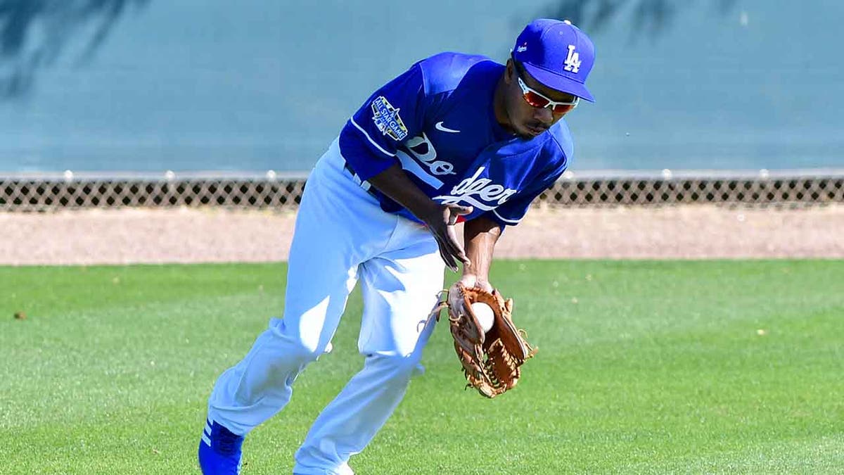 Terrance Gore fields ball