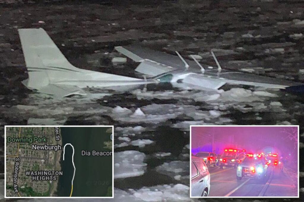 Pilot, passenger who crash landed in ‘another miracle on the Hudson’ cracked jokes after swimming to shore