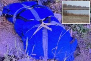 Husband, 75, busted after dismembered remains of his much-younger wife found scattered in NYC: cops