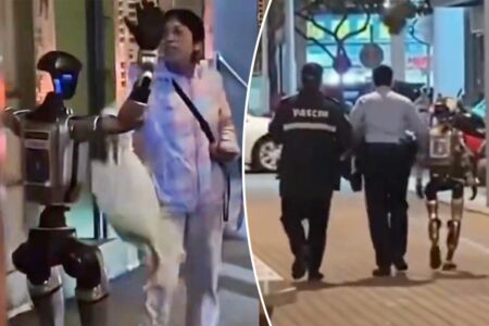 Humanoid robot ‘detained’ by cops — after terrorizing elderly woman on the street